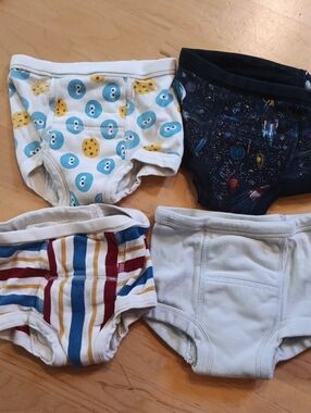4 Toddler Training Undies